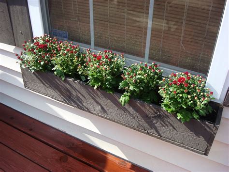 inexpensive window box planters